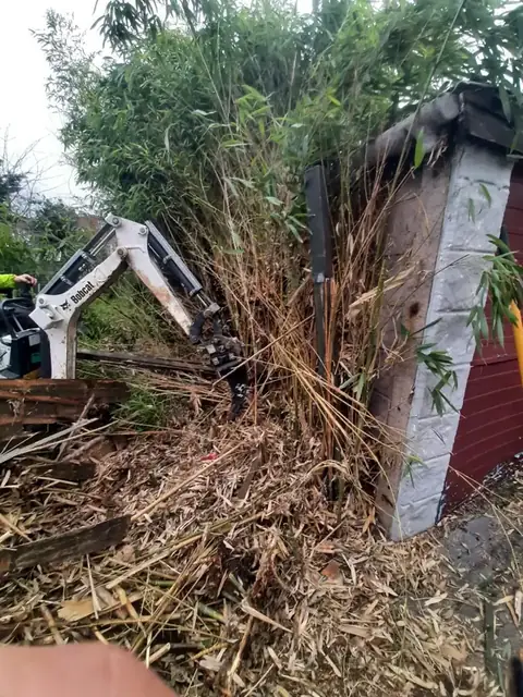 Bamboo clearance in progress, job photo 4