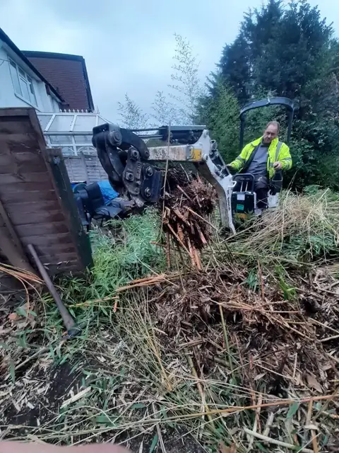 Bamboo clearance in progress, job photo 7