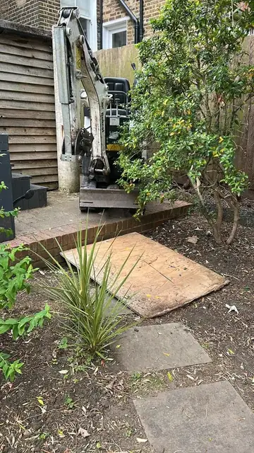 Garden after bamboo removal, job photo 1