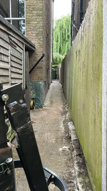 Garden after bamboo removal, job photo 3