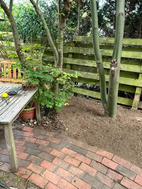 Patio and fence work after bamboo clearance, job photo 5