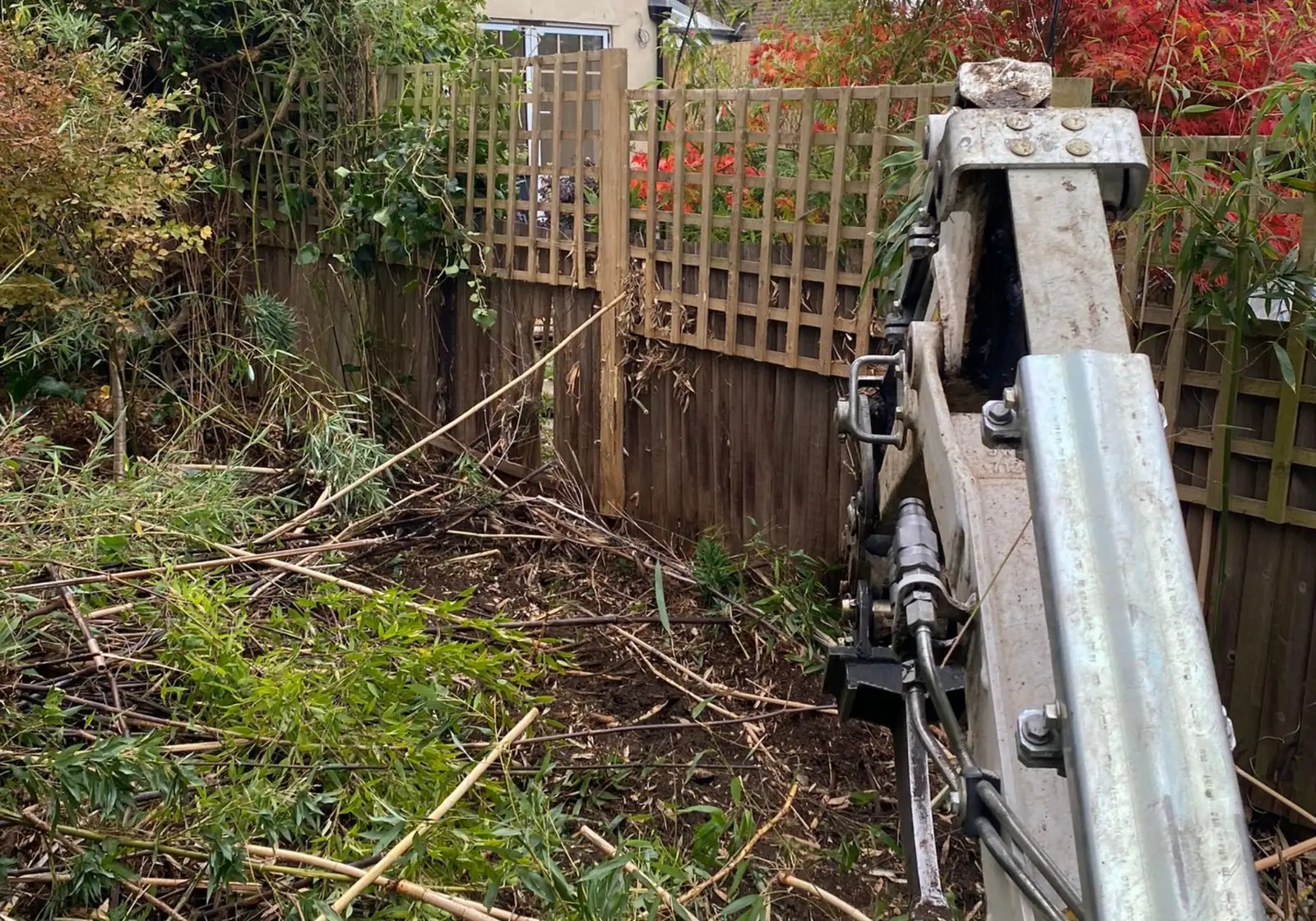Bamboo being cleared from a garden with a mini digger