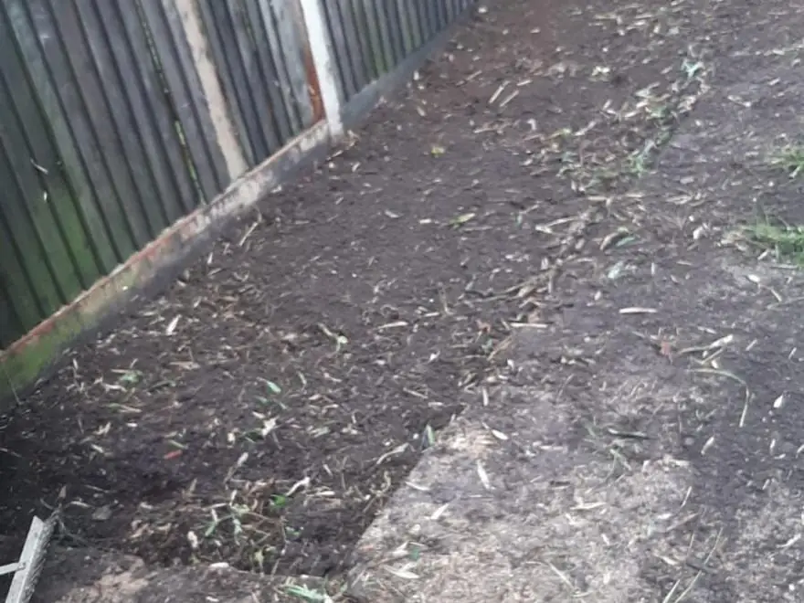 The same fence line cleared to bare soil, with the paving slabs swept clean