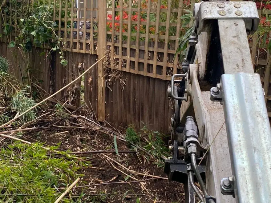 The same spot with the bamboo cleared and the trellis topped fence visible again