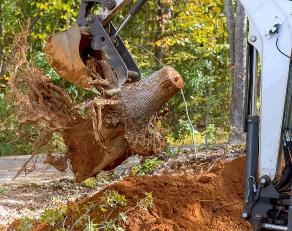 Tree stump being lifted out by an excavator